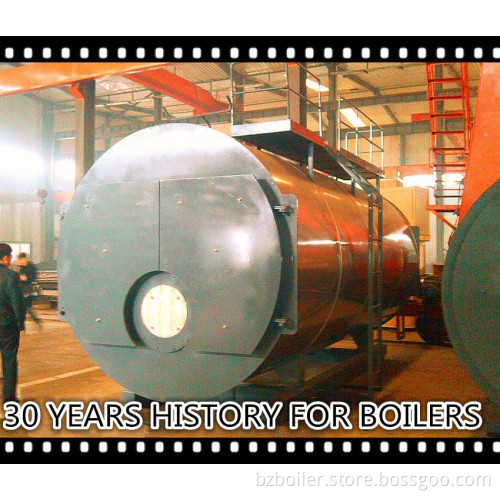 30 years dedicated producing gas fired hot water boiler